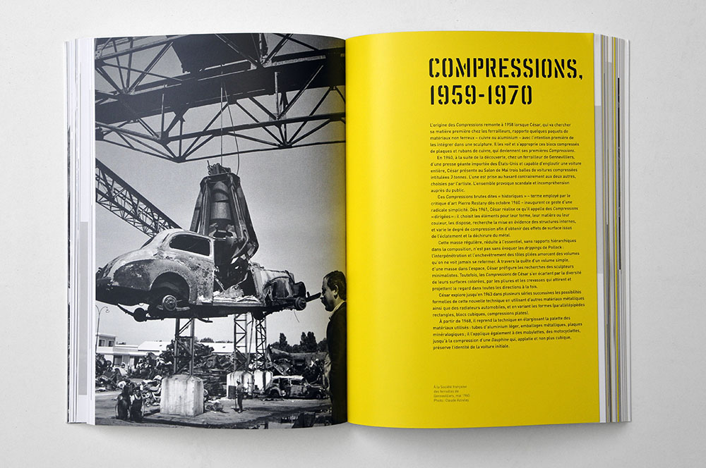 Catalogue exposition cesar - centre pompidou